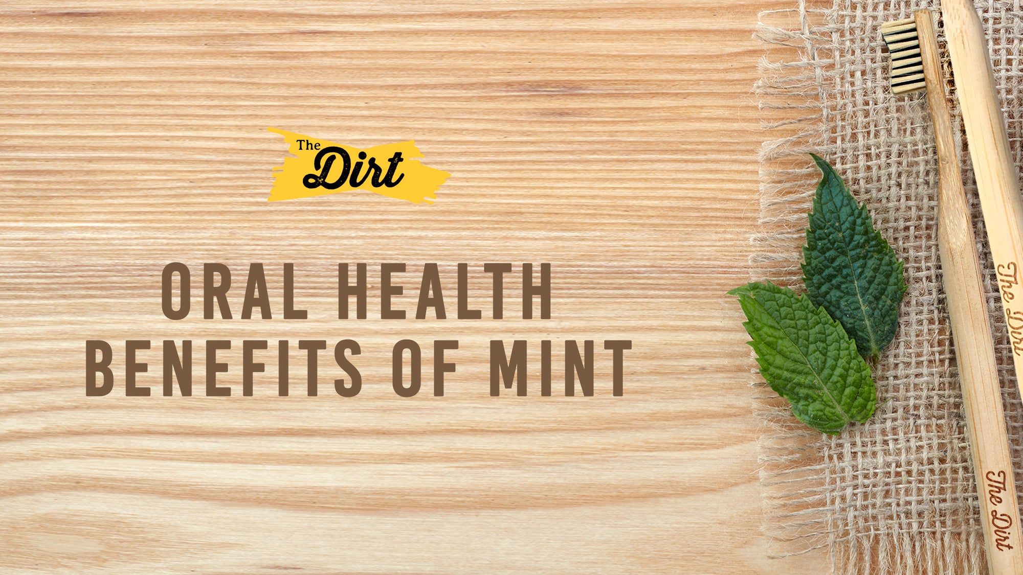 Why Mint is great for your mouth?