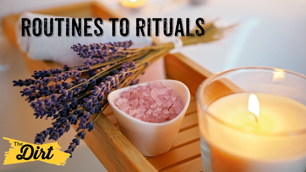 Lively Rituals routines_to_rituals_blog.jpg?v=1727282953&width=1000